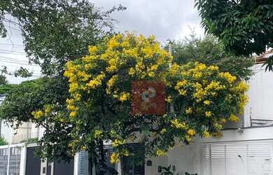 Imagem 1: Casa para aluguel tem 167 metros quadrados com 4 quartos em Jardim Novo...