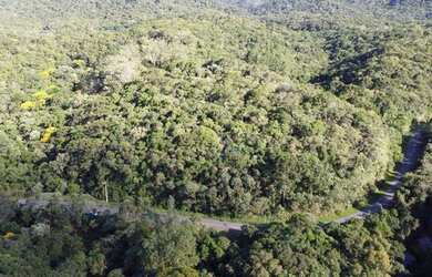 Imagem 2: Área à venda, 79601 m² por R$ 300.000,00 - Portal da Graciosa - Campina Grande do Sul/PR