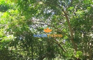 Imagem 10: Linda Chácara no Jardim Ingá, com casa três quartos sendo uma suíte