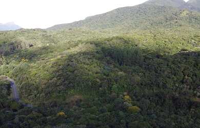 Imagem 1: Área à venda, 79601 m² por R$ 300.000,00 - Portal da Graciosa - Campina Grande do Sul/PR