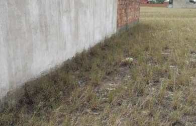 Imagem: O terreno possui 10m² de Área e está localizado em São João