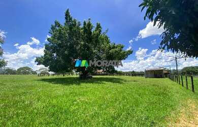 Imagem 12: FAZENDA À VENDA - 1.300 HECTARES - BURITIS MG