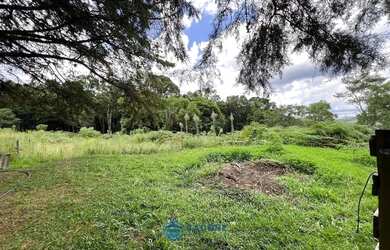 Imagem 11: Chácara com 2 ha de terra no São Victor Cohab