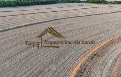 Imagem 12: Sítio com 17 alqueires terra vermelha em Quadra/SP