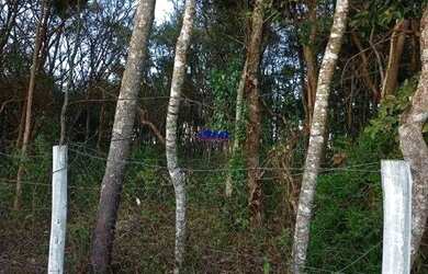 Imagem 15: Sitio à venda, 3 quartos, 1 suíte, 10 vagas, campos fernandes - Bonfim/MG