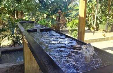 Imagem 12: Chácara à venda em Abadiânia - GO Riquíssima em água