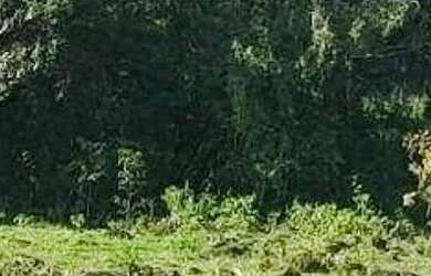 Imagem 9: Chácara à venda em Boa Vista da Aparecida