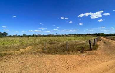 Imagem 5: FAZENDA À VENDA - 217 ALQUEIRES MUNDO NOVO - Goias