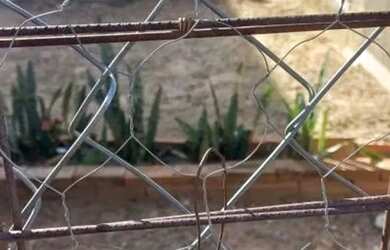 Imagem: O terreno possui 259m² de Área, Imóvel novo e está localizado