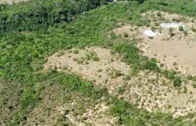 Imagem: O terreno possui 20.000m² de Área e está localizado em Alexânia