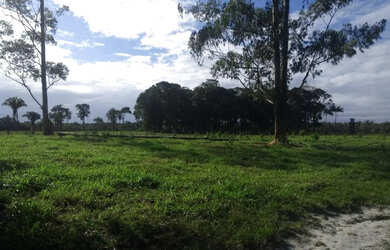 Imagem 15: Boa pra pasto ou plantio