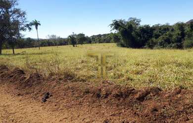 Imagem 7: Fazenda 152 Alqueires, Sao Luis De Montes Belos, GO