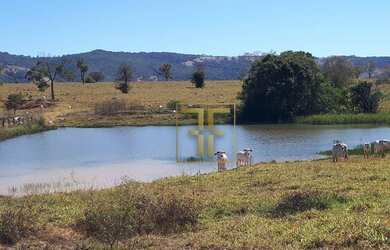 Imagem 1: Fazenda 152 Alqueires, Sao Luis De Montes Belos, GO