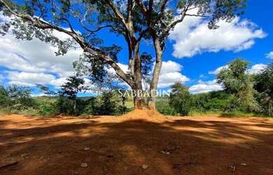 Imagem: O terreno possui 5000m² de Área e está localizado em Pedro