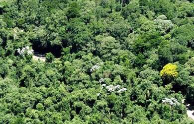 Imagem: A fazenda possui 9000000m² de Área e está localizado em Paraviana