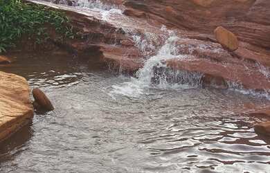 Imagem 9: Chacara 02 Alqueires Rica em Aguas e cultura Municipio Cocalzinho