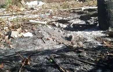 Imagem 7: Terreno no Beira mar janga