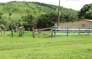 Imagem 4: Fazenda Rica em agua 80 Mil por Alqueire 241