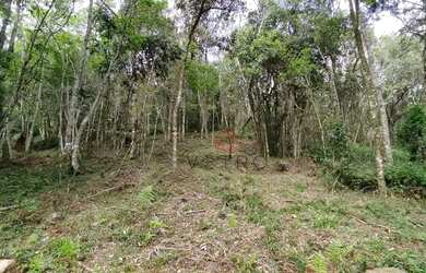 Imagem: O terreno possui 524m² de Área e está localizado em Gramado