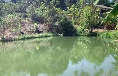 Imagem: O terreno está localizado em Setor Central, Bonfinópolis à