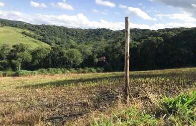 Imagem: O terreno possui 500m² de Área e está localizado em Tanque
