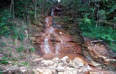 Imagem 7: Chacara 02 Alqueires Rica em Aguas e cultura Municipio Cocalzinho