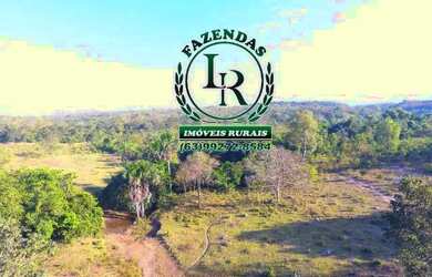 Imagem: A fazenda está localizado em Rio Sono, TO à venda por R$350.000