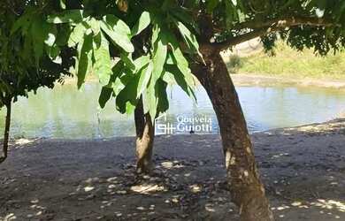 Imagem 14: Chácara à venda em Abadiânia - GO Riquíssima em água