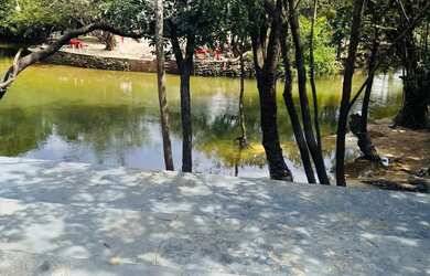 Imagem: A chácara possui 1200m² de Área e está localizado em Doutor