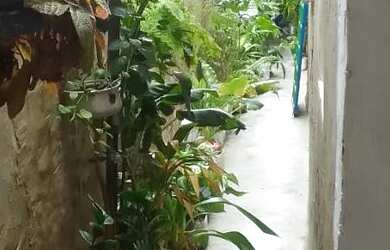 Imagem 5: Casa no jardim sao Paulo. Varanda, 125m² de Área, 3 Banheirose3 Dormitórios