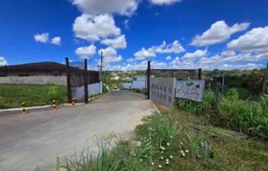 Imagem 2: LOTE ARNIQUEIRA. 480m² de Área