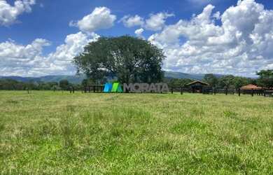 Imagem 2: FAZENDA À VENDA - 1.300 HECTARES - BURITIS MG