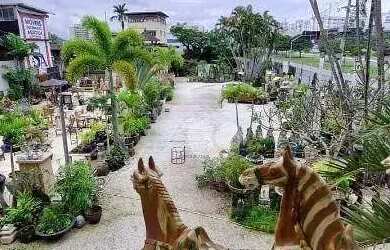 Imagem 12: Terreno para alugar, 3000 m² por R$ 250.000/mês - Recreio dos Bandeirantes...