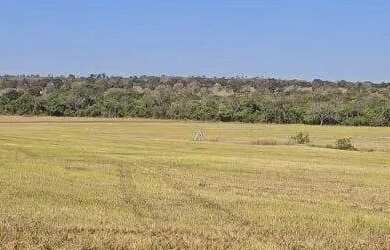 Imagem 10: Excelente fazenda dupla aptidão com 517 hectares e ótimas estruturas...