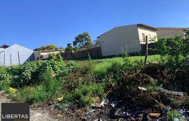 Imagem: O terreno à venda possui e está localizado em Esmeralda