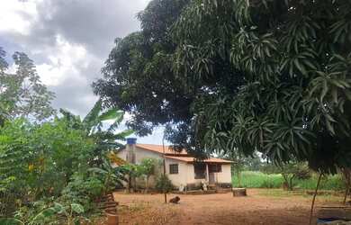 Imagem: A chácara à venda e está localizado em Setor Oeste, Goiânia