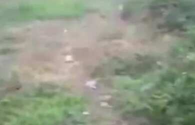 Imagem: O terreno possui 30m² de Área e está localizado em Tarumã