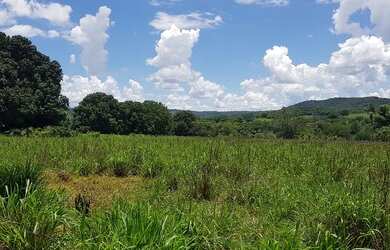 Imagem 14: Vendo Fazenda áceito carro ou dinheiro, não aceito troca em outro imóvel