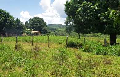 Imagem 7: Vendo Fazenda áceito carro ou dinheiro, não aceito troca em outro imóvel