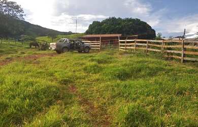 Imagem 16: Chacara 02 Alqueires Rica em Aguas e cultura Municipio Cocalzinho