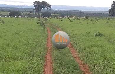 Imagem: A fazenda possui 420m² de Área e está localizado em Córrego