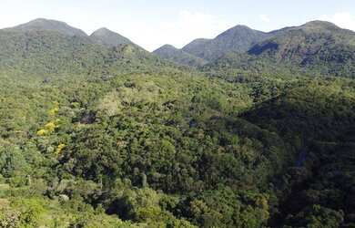 Imagem 3: Área à venda, 79601 m² por R$ 300.000,00 - Portal da Graciosa - Campina Grande do Sul/PR