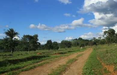 Imagem 7: Fazenda Rica em agua 80 Mil por Alqueire 241