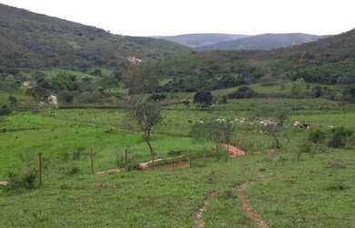 Imagem 4: Vendo Fazenda 53 Alqueires / 253 hectares