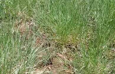 Imagem: O terreno possui 1.000m² de Área e está localizado em Vale