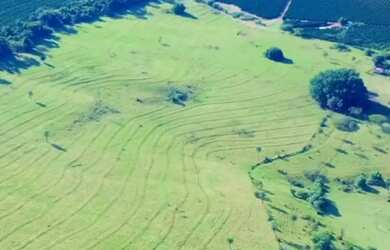 Imagem 7: Sítio 57hectares Café Arábica Jeriquara