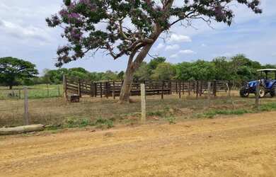 Imagem: A fazenda está localizado em Centro, Unaí à venda por R$2.400.000