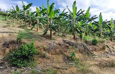 Imagem 14: Sitio 13 ha Porteira Fechada