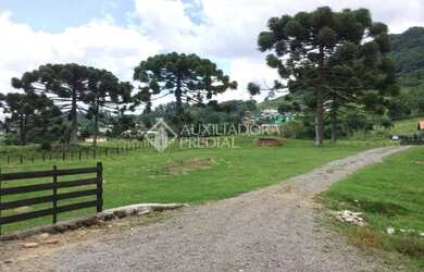 Imagem 11: Propriedade Rural no bairro Serra Grande