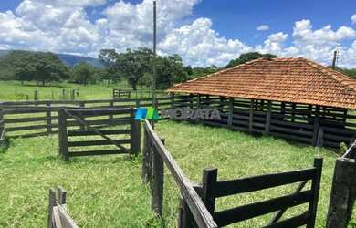Imagem 8: FAZENDA À VENDA - 1.300 HECTARES - BURITIS MG